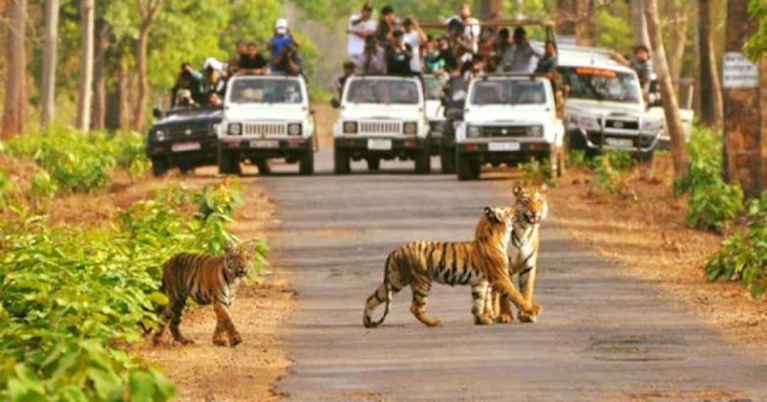 Ranthambore National Park-2